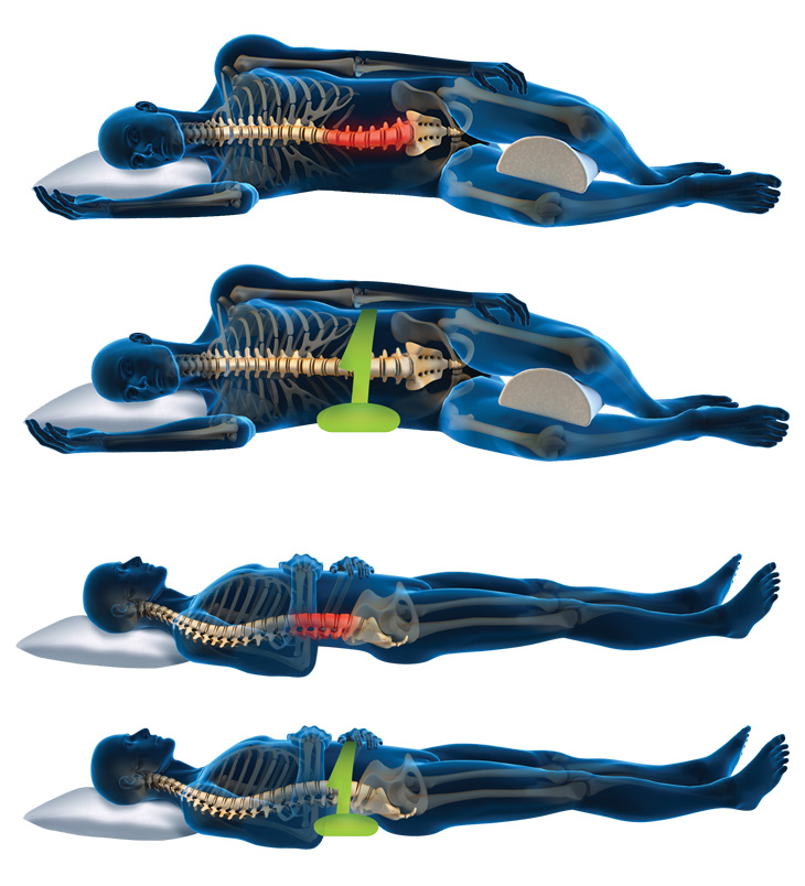 Spine Decompression Back Belt Lumbar Support for Lower Back Pain Relief -  Conseil scolaire francophone de Terre-Neuve et Labrador